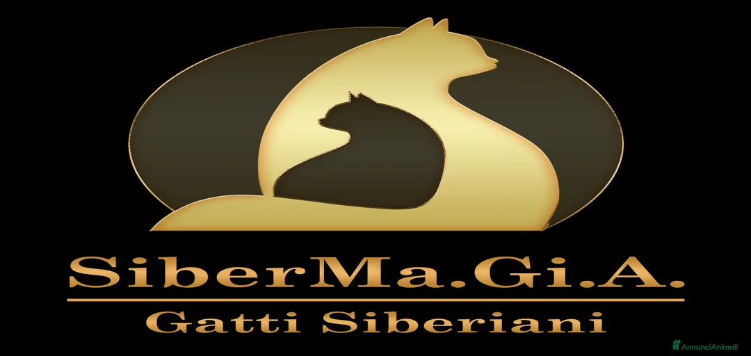 Immagine della galleria {{count}}