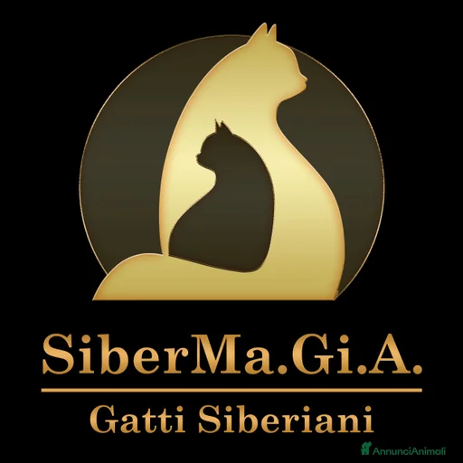 Immagine della galleria {{count}}