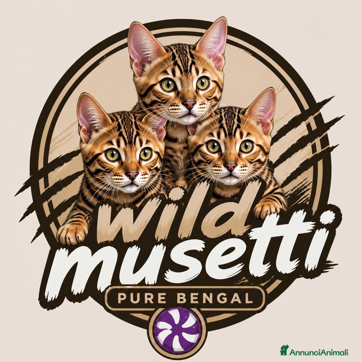 Bengala gatti Gatti Bengala cuccioli - Annuncio 26