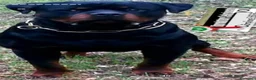 Rottweiler cani in vendita: Cuccioli rottweiler  - Annuncio 11