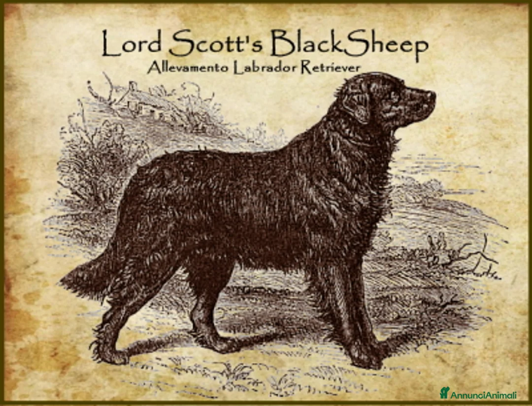 Immagine della galleria {{count}}