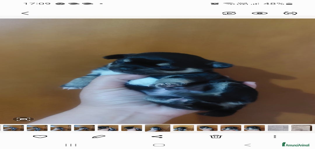 Immagine della galleria {{count}}