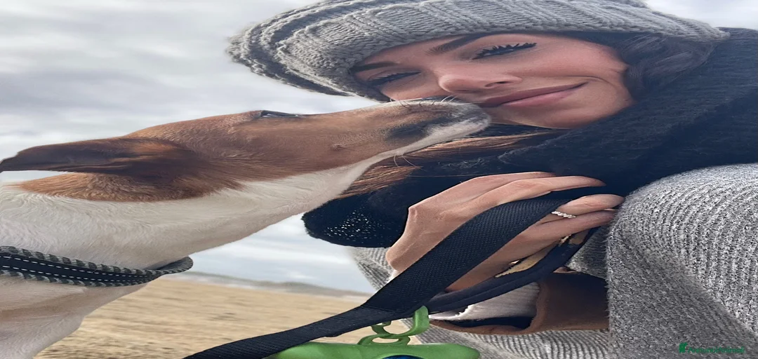 Immagine della galleria {{count}}