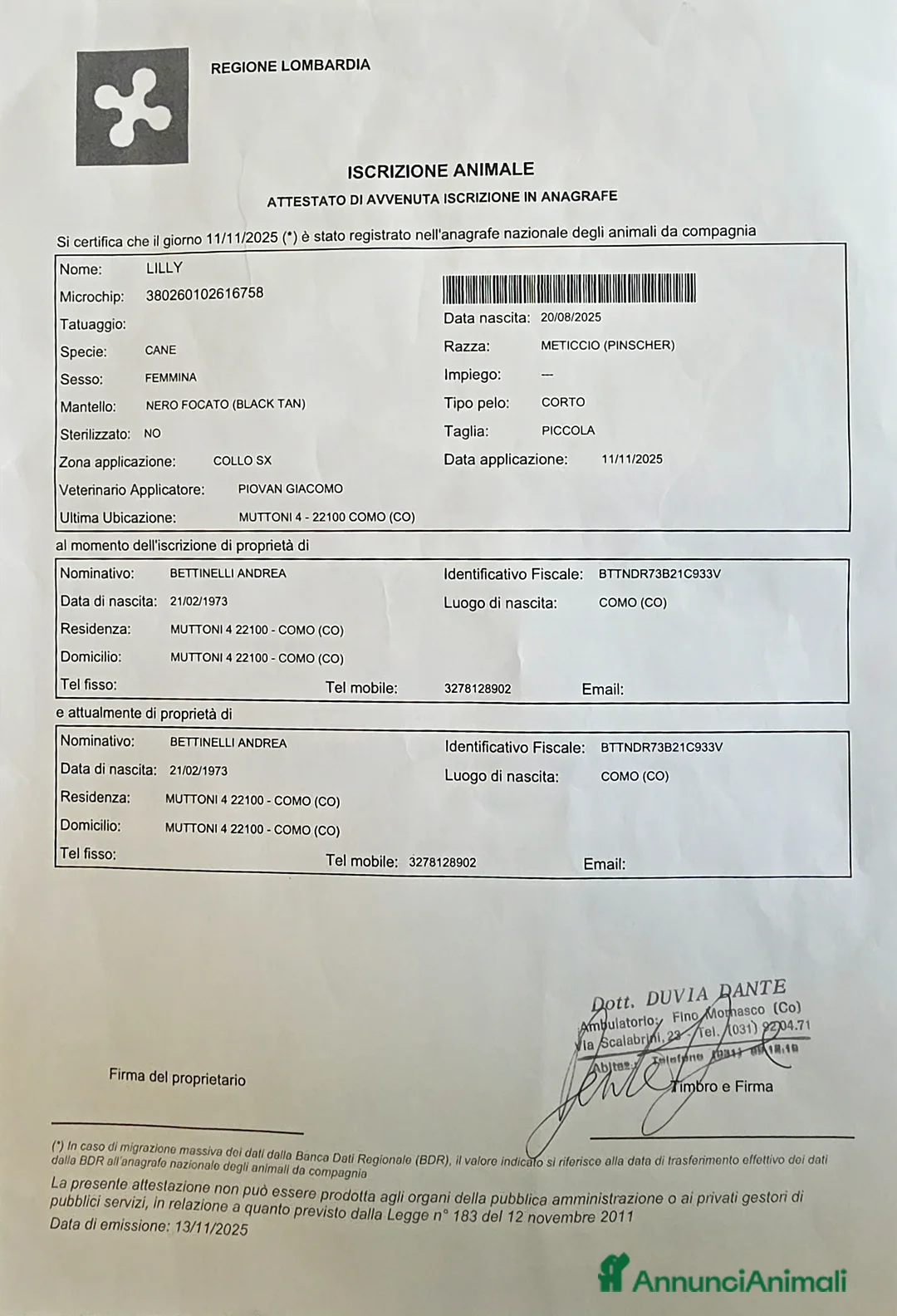 Pinscher Miniatura cani in vendita: Pinker Toy Femmina nero focato a Provincia di Como - Annuncio 7