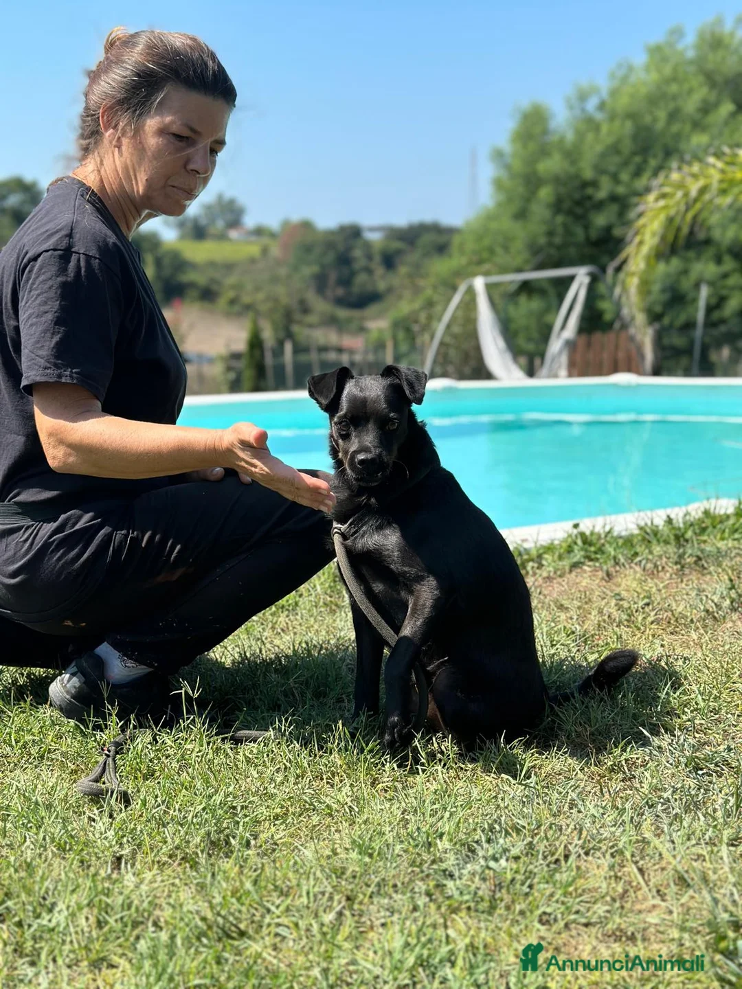 Meticcio cani in regalo: BART un canuccio piccino e tanto sfortunato a Pomezia - Annuncio 7