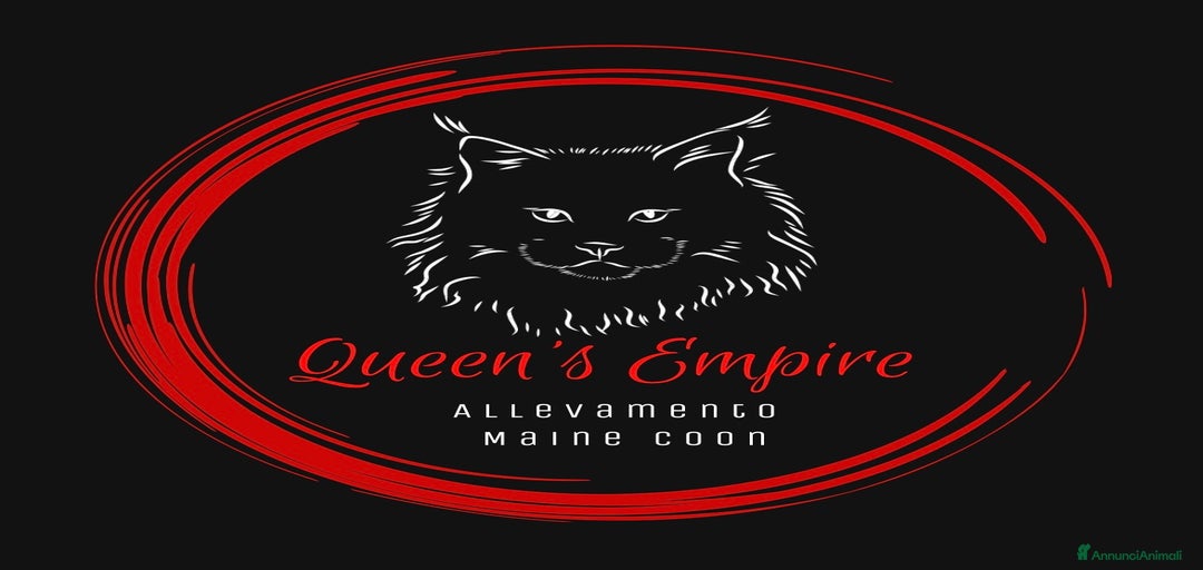 Immagine della galleria {{count}}