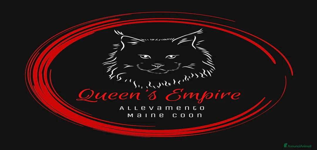 Immagine della galleria {{count}}