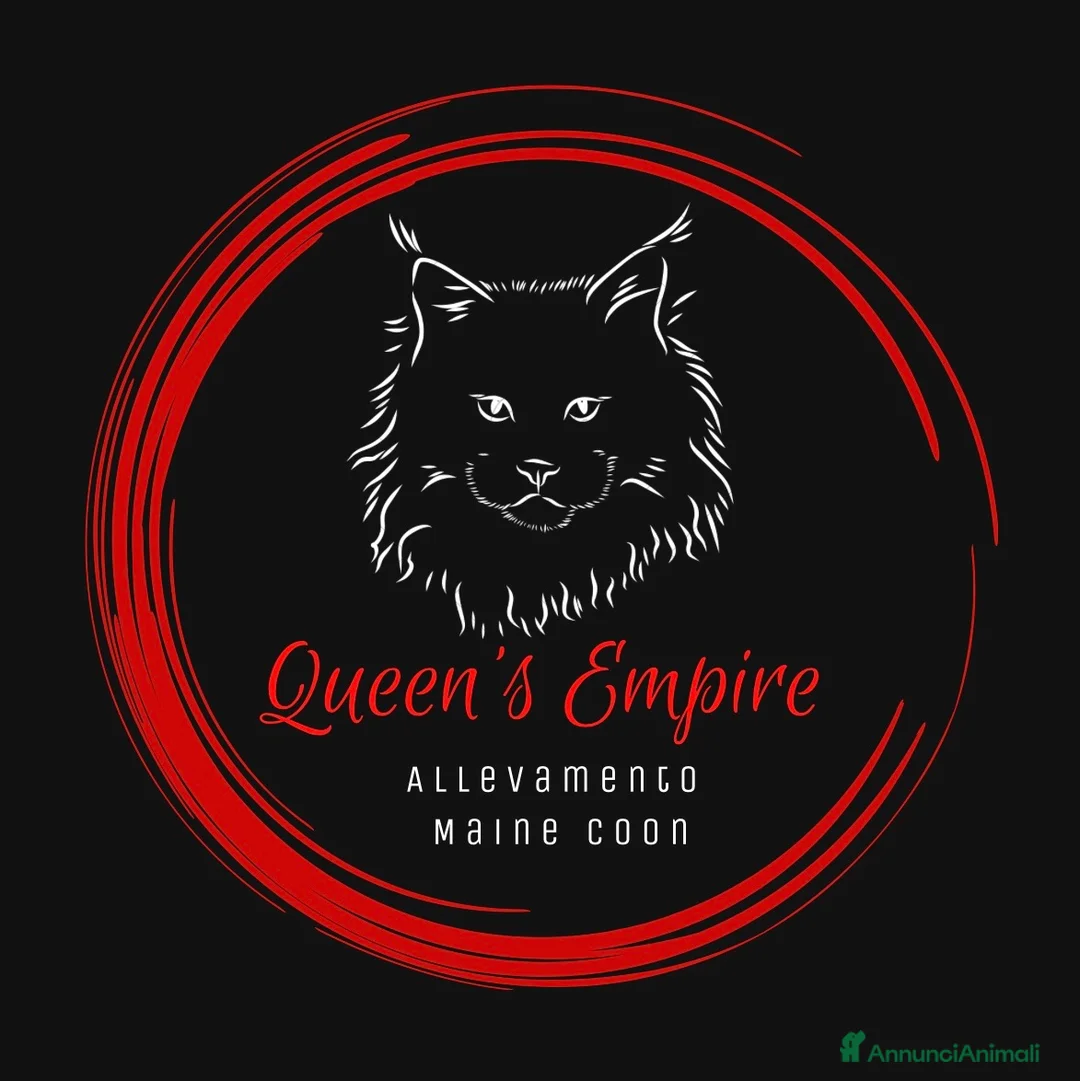 Immagine della galleria {{count}}