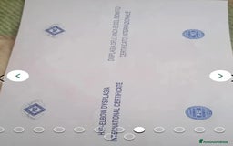 Pastore Tedesco cani in regalo:  proprietario regala splendidi cuccioli  - Annuncio 8