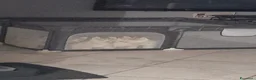 Husky cani in vendita: Cuccioli di meravigliosi husky cercano casa - Annuncio 6