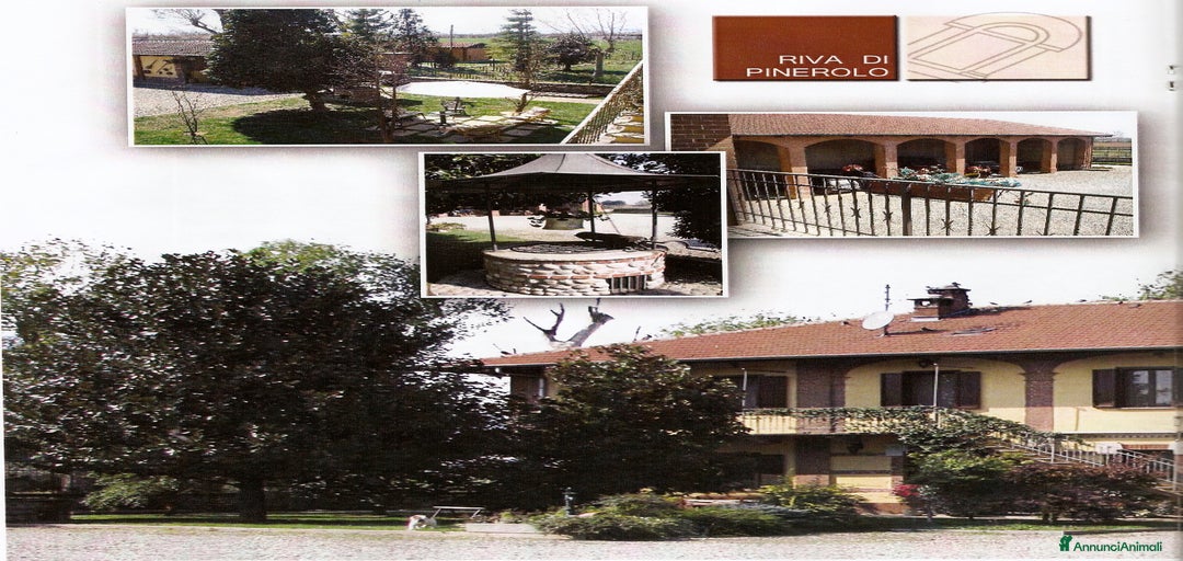 Immagine della galleria {{count}}