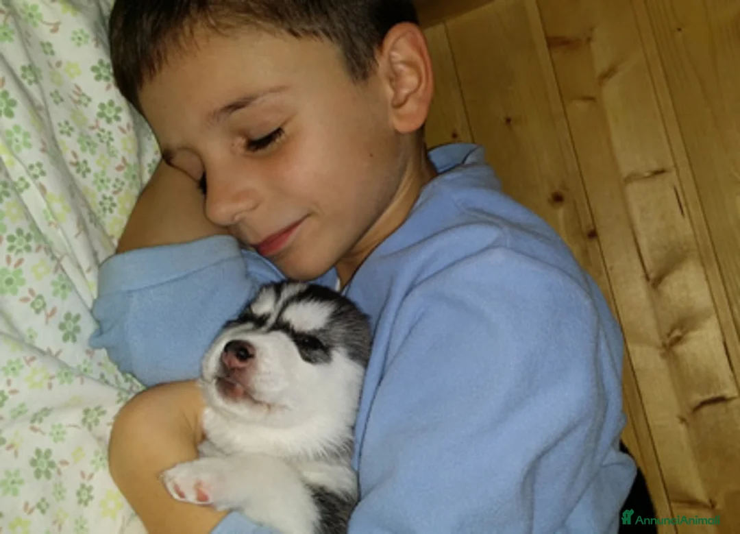 Immagine della galleria {{count}}