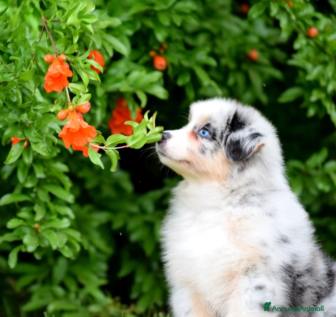 Immagine della galleria {{count}}