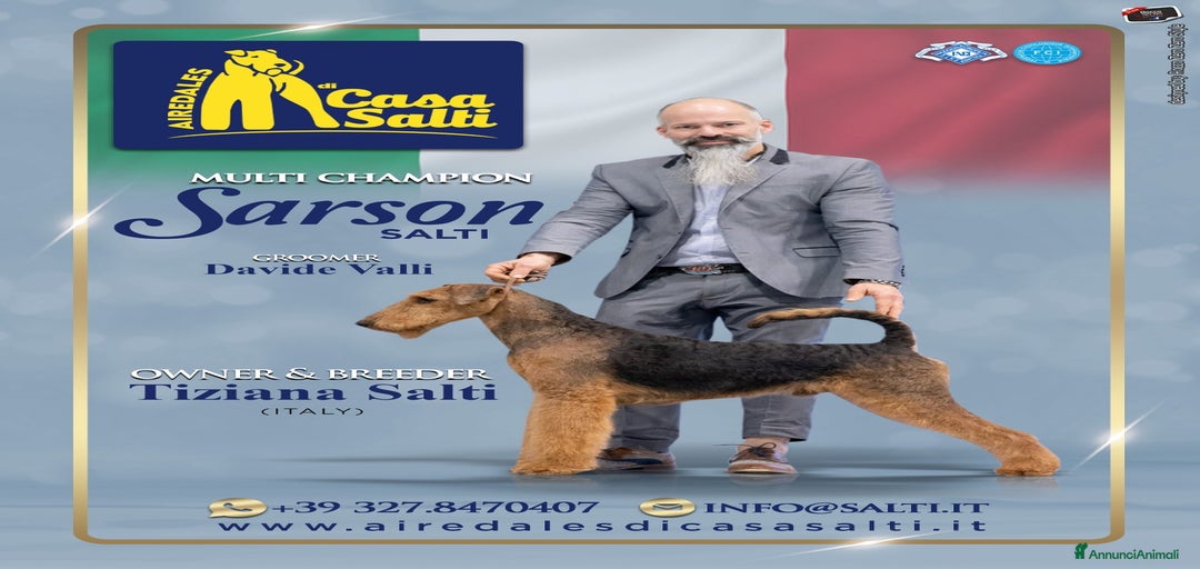 Immagine della galleria {{count}}