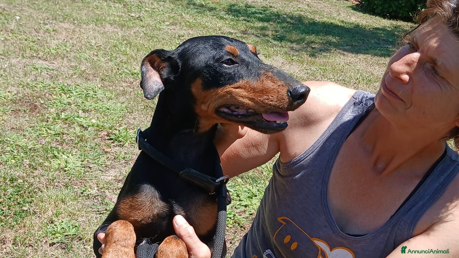 Meticcio cani DUCA TUTTA LA DOLCEZZA DEL MONDO IN 10 KG.. - Annuncio 9