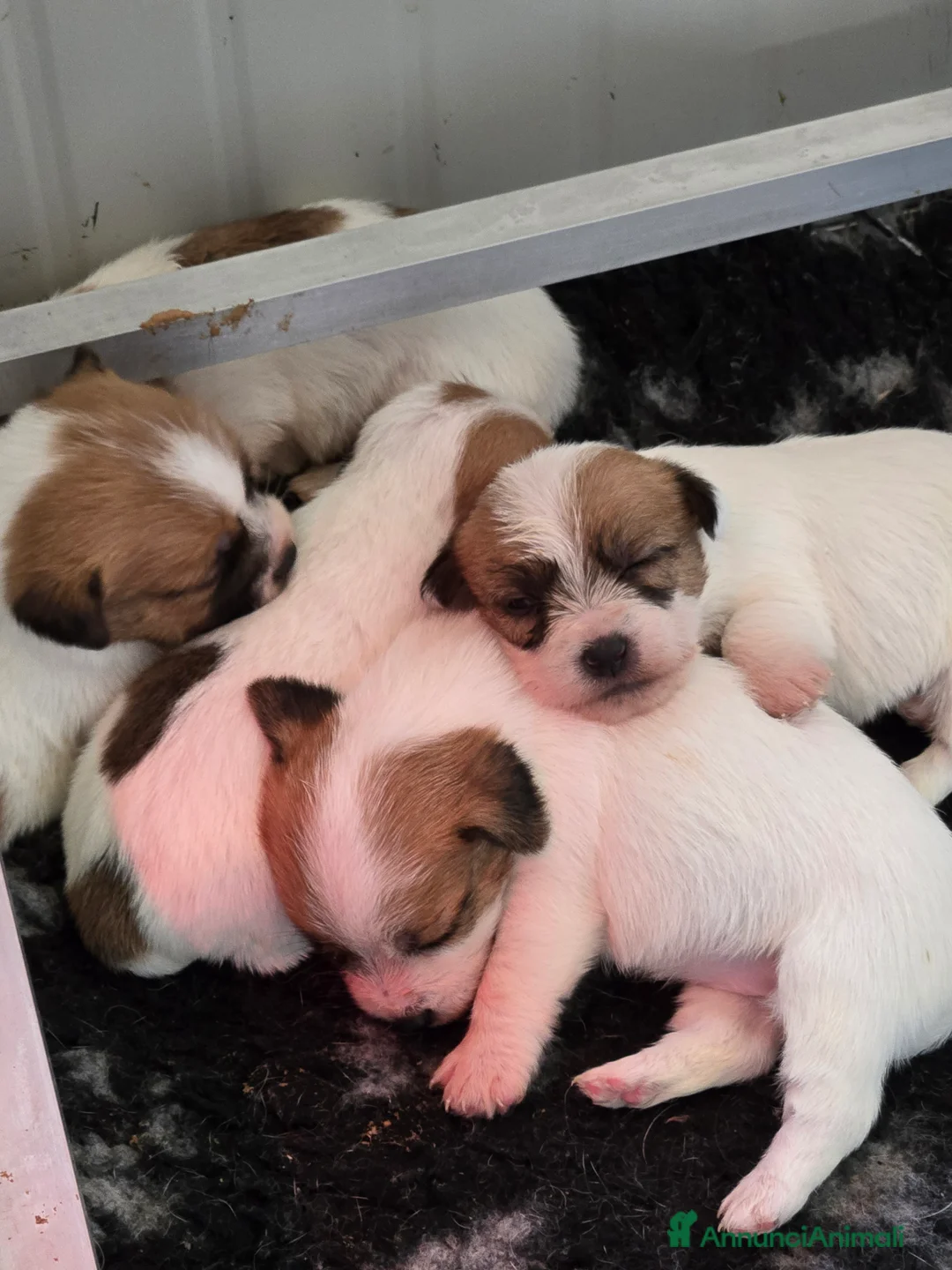 Immagine della galleria {{count}}