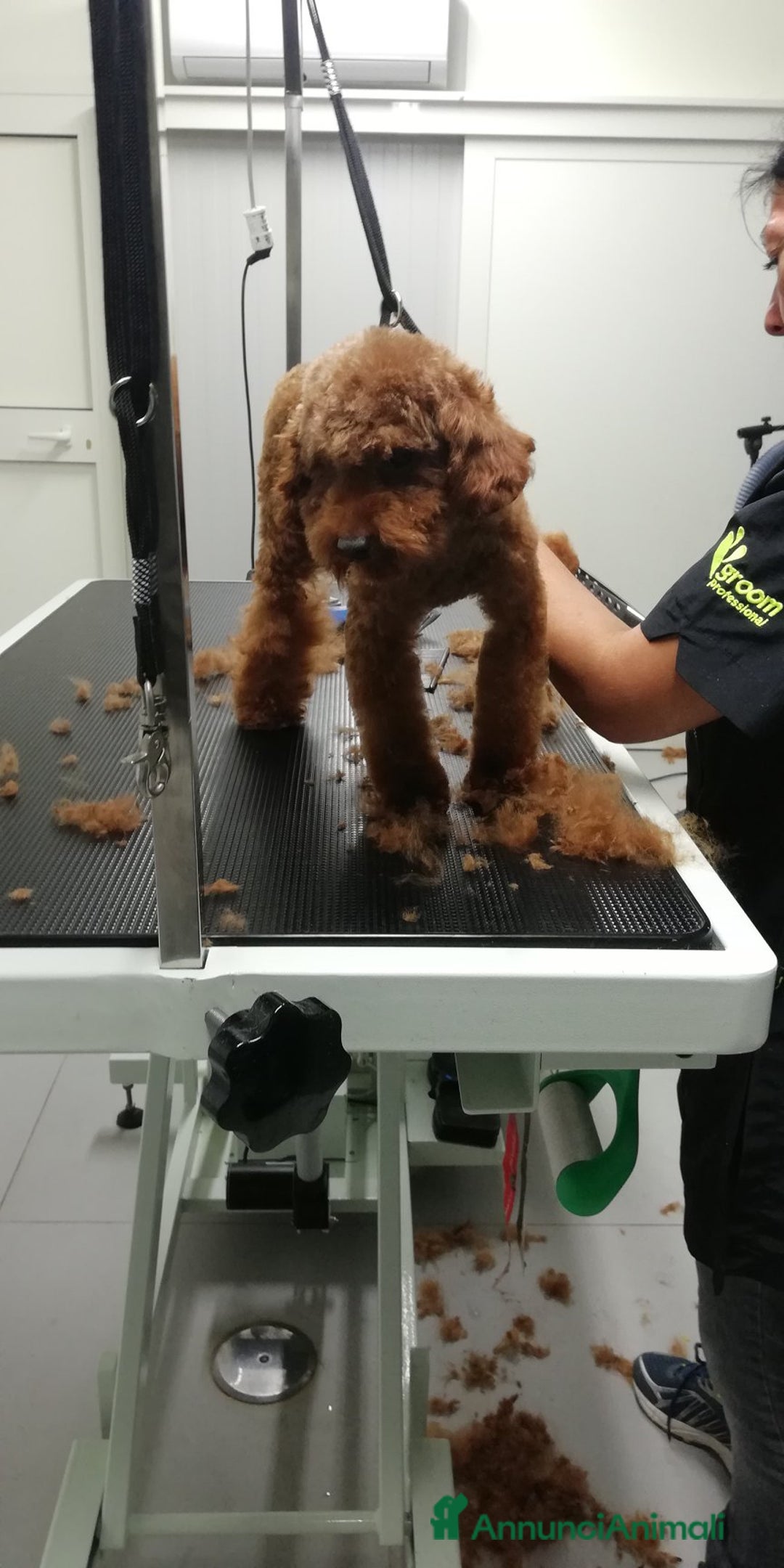 Immagine della galleria {{count}}