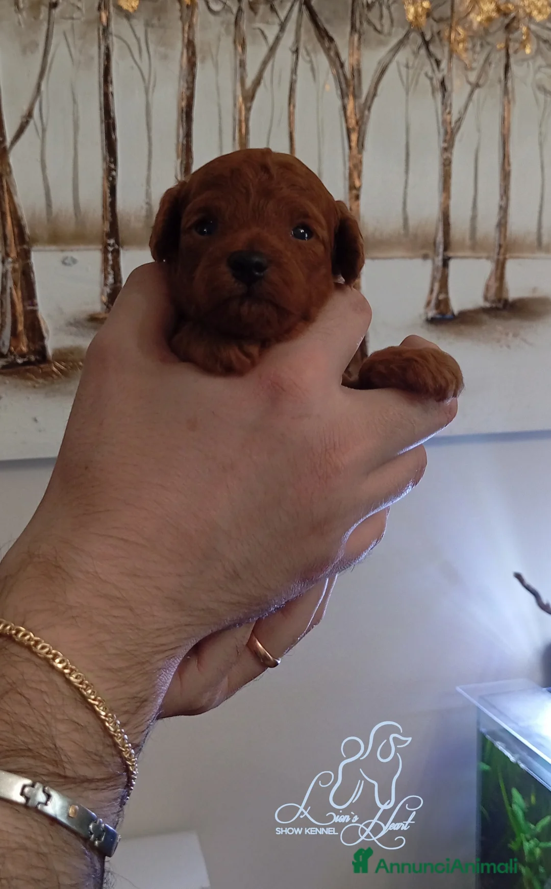 Immagine della galleria {{count}}