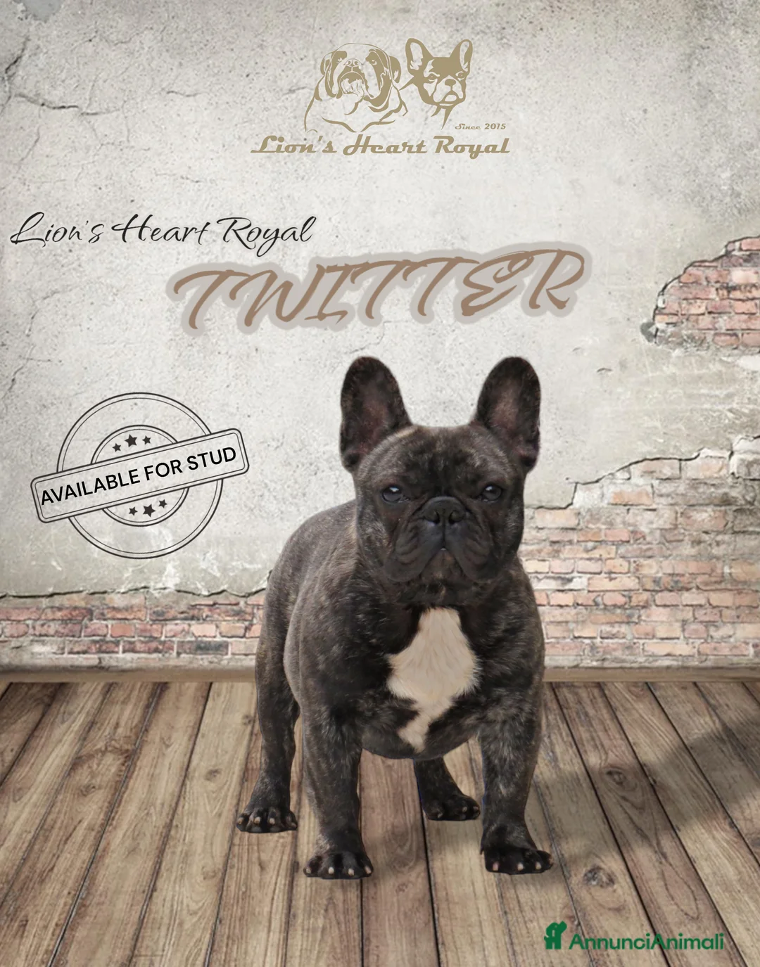 Immagine della galleria {{count}}