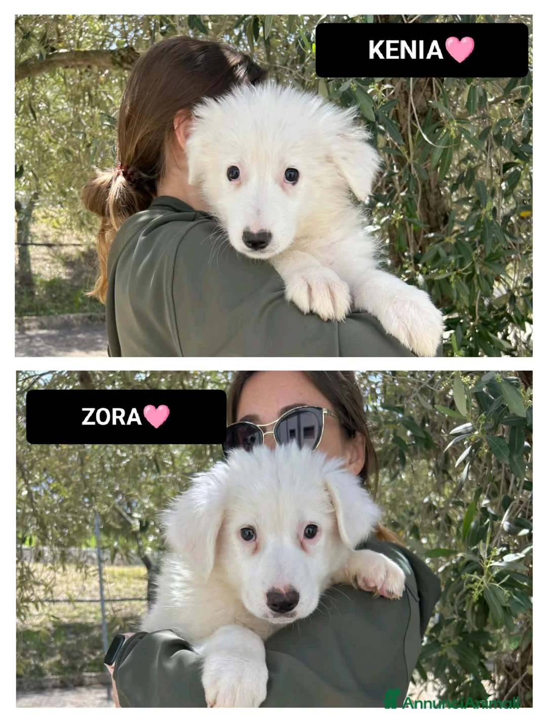 Meticcio cani in regalo: kenia e zora - Annuncio 1