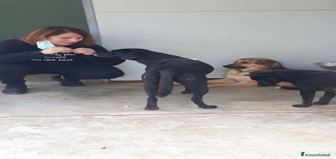 Immagine della galleria {{count}}