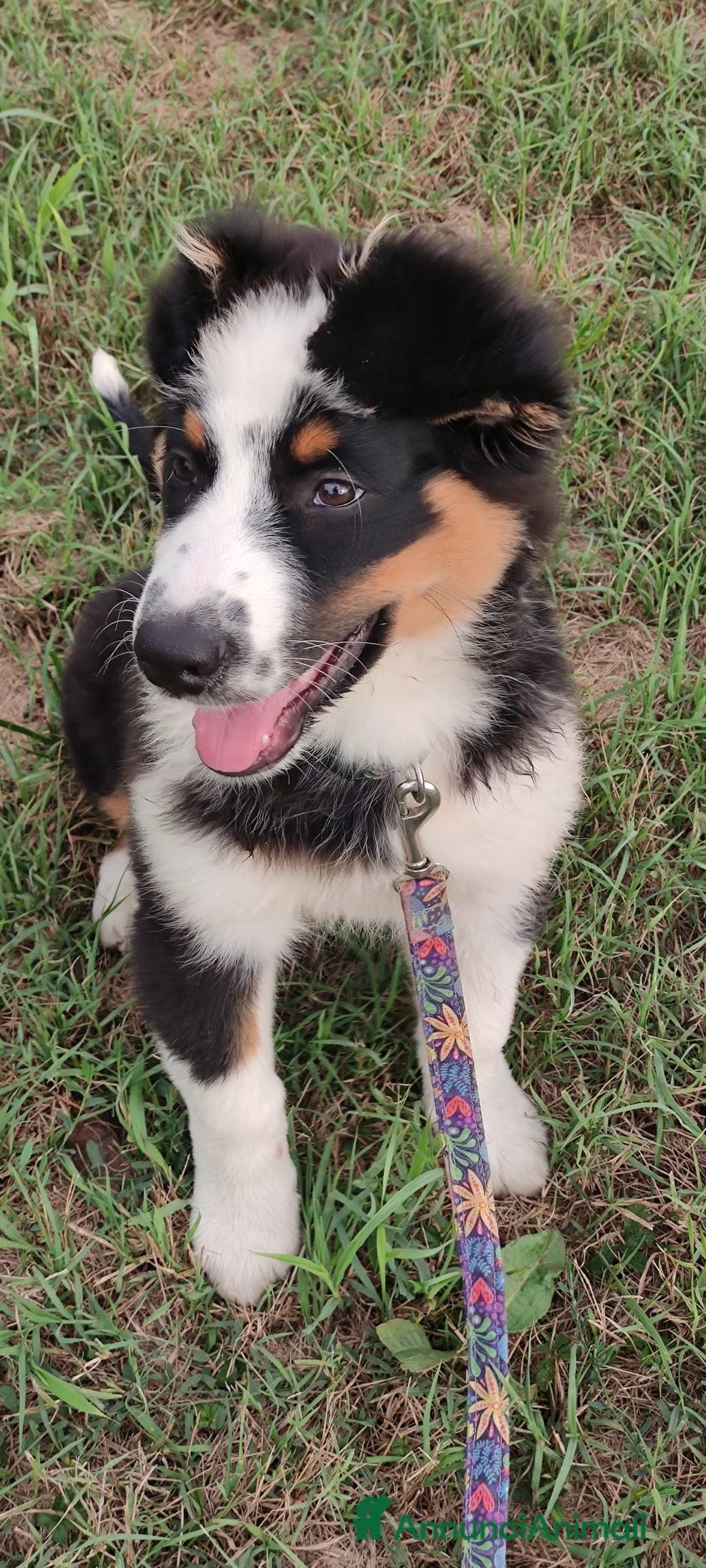 Immagine della galleria {{count}}