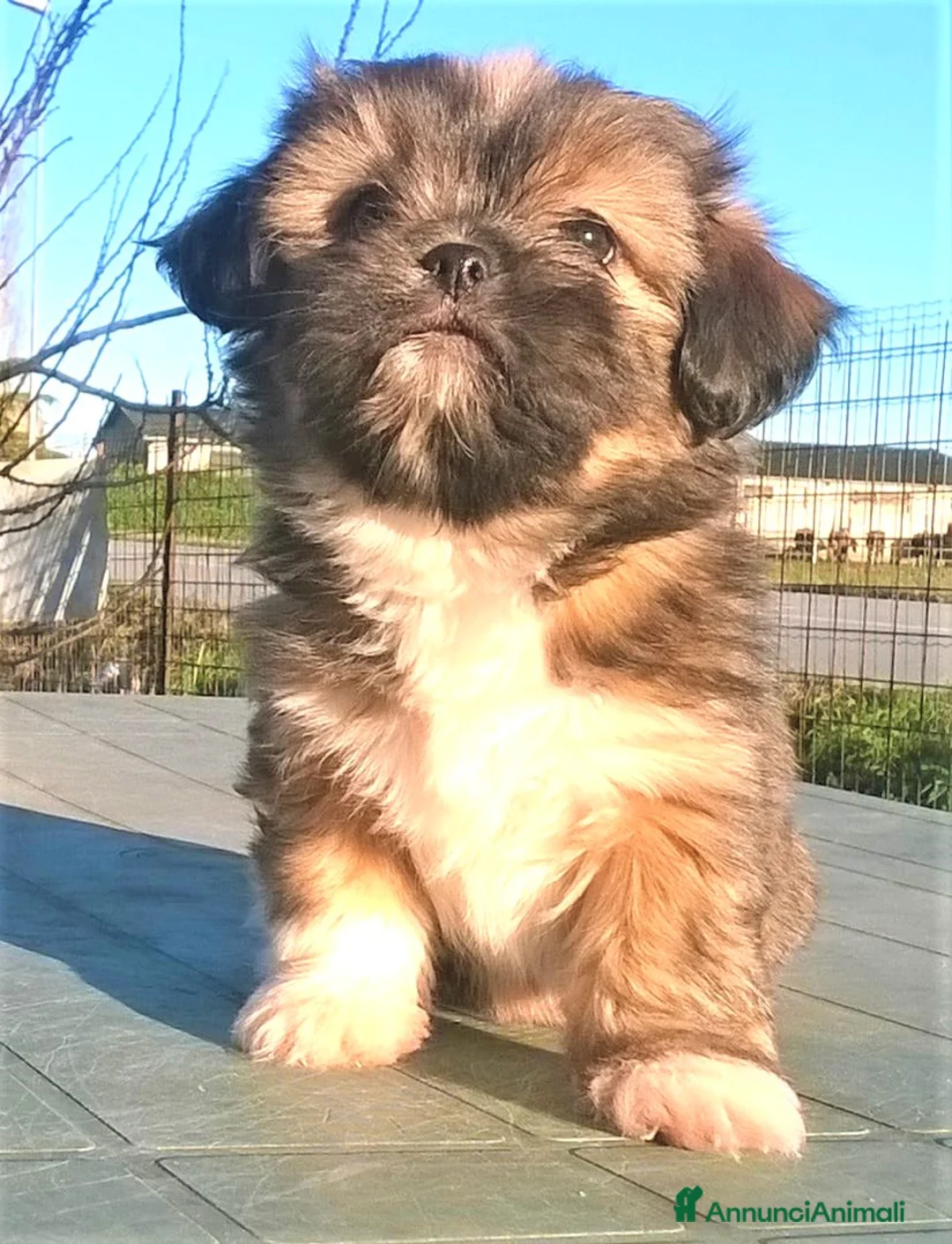 Immagine della galleria {{count}}