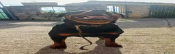 Rottweiler cani in regalo: Rottweiler disponibili  - Annuncio 2
