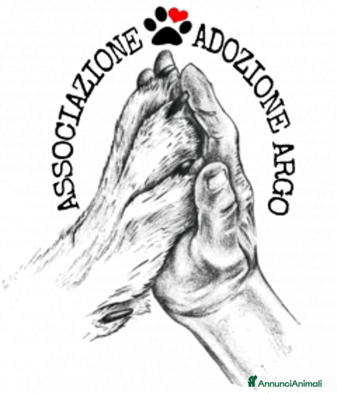 Meticcio cani in regalo: Caffè - Annuncio 2