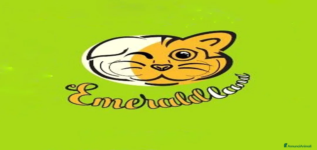 Immagine della galleria {{count}}