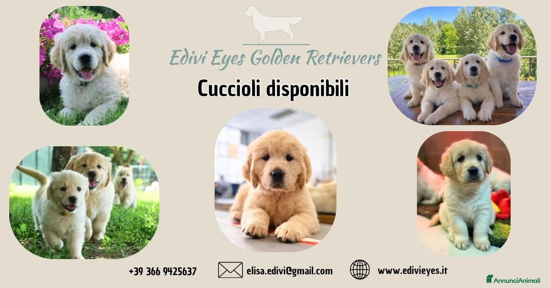 Immagine della galleria {{count}}