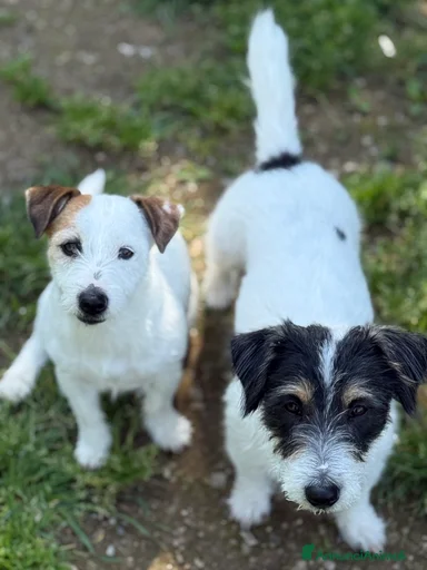 Immagine della galleria {{count}}