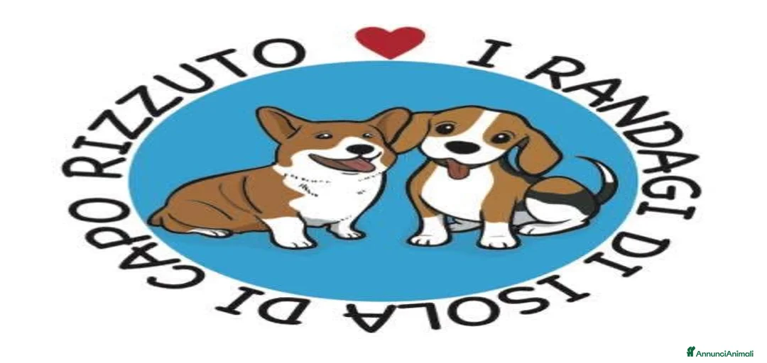 Immagine della galleria {{count}}