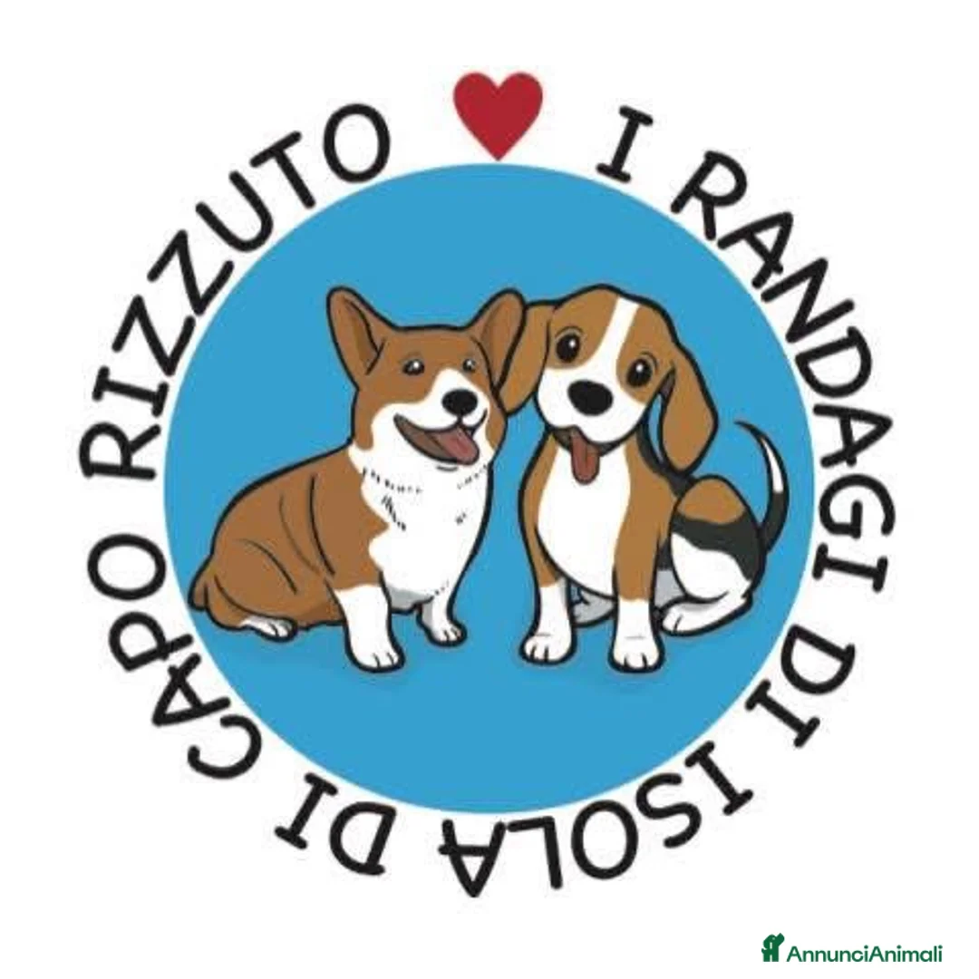 Immagine della galleria {{count}}