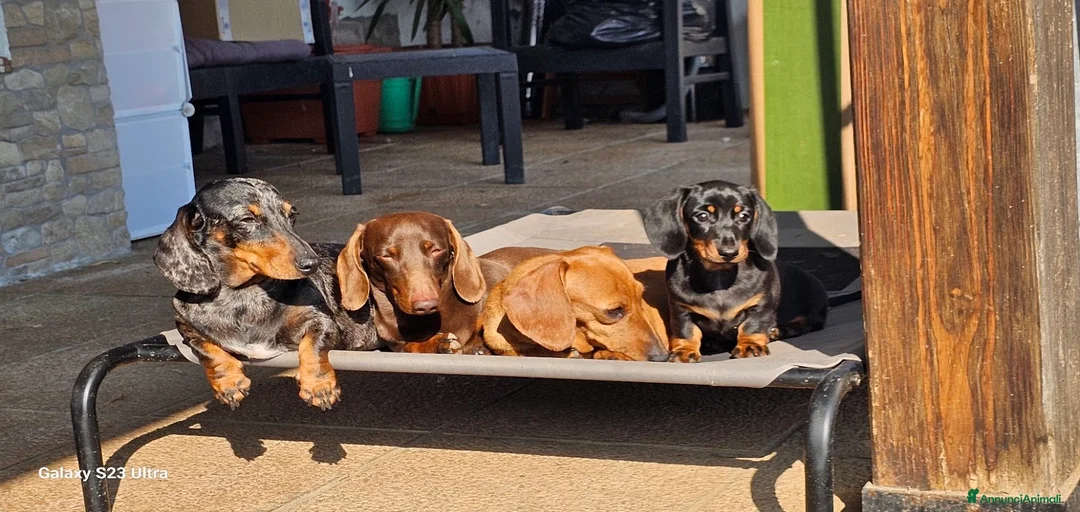 Immagine della galleria {{count}}