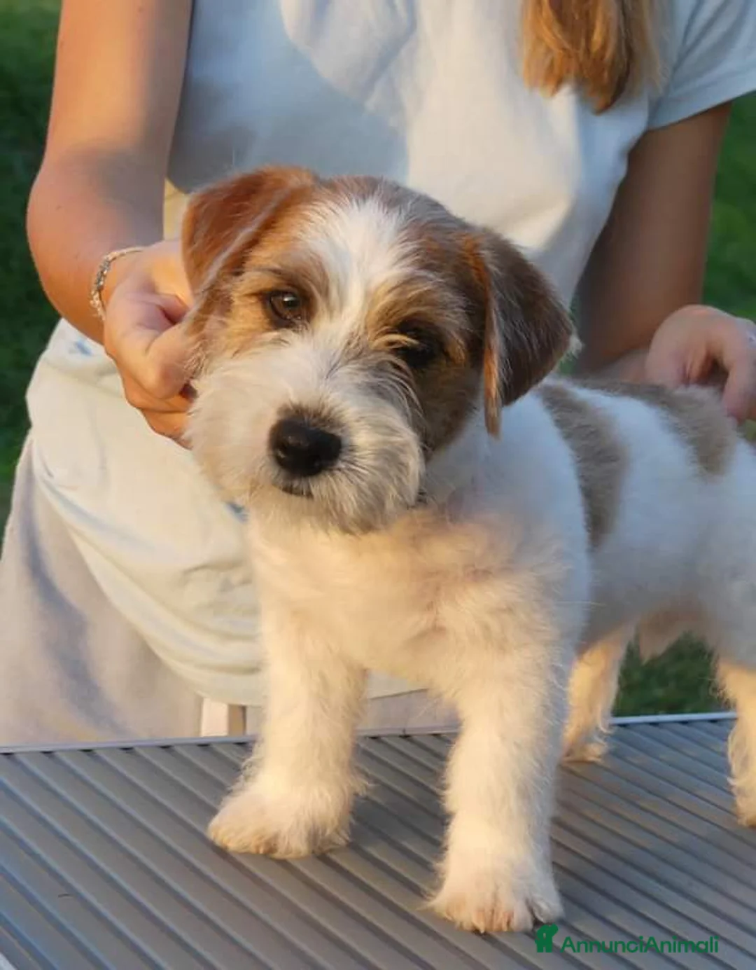 Immagine della galleria {{count}}