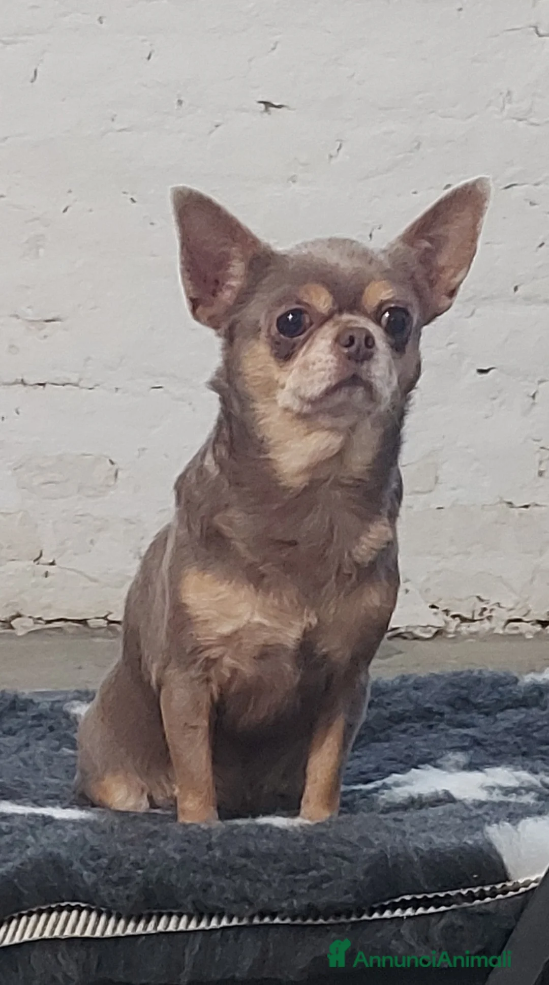 Immagine della galleria {{count}}