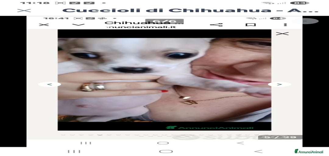 Immagine della galleria {{count}}