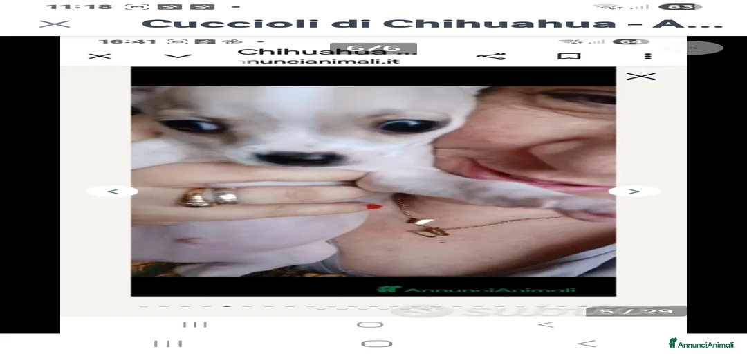 Immagine della galleria {{count}}