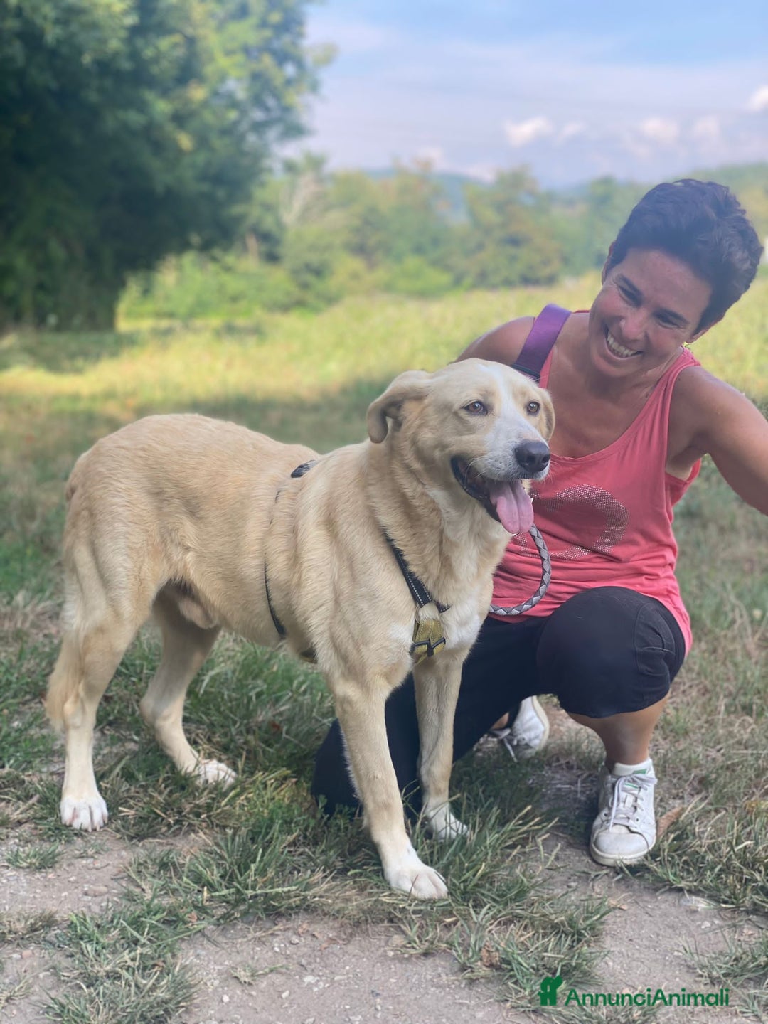Meticcio cani in regalo: Pippo un cane buonissimo in cerca di casa  - Annuncio 4