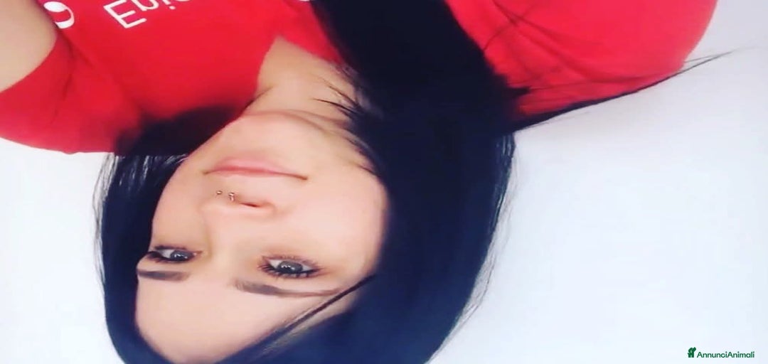 Immagine della galleria {{count}}