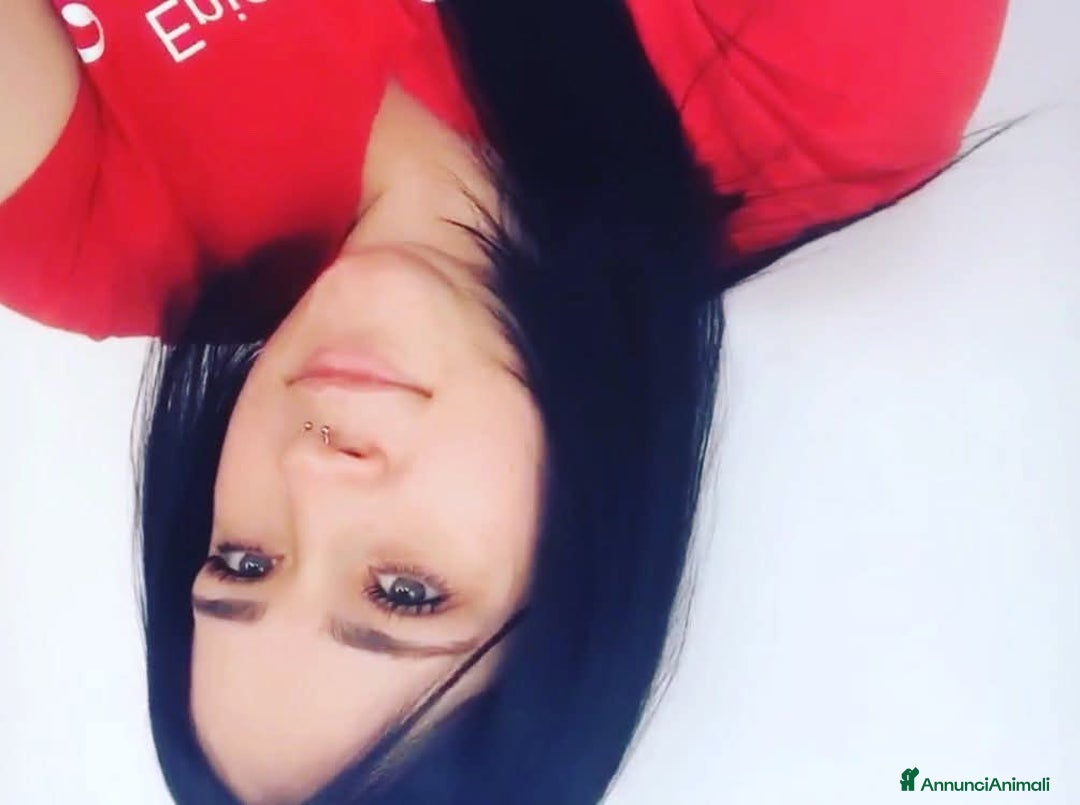 Immagine della galleria {{count}}