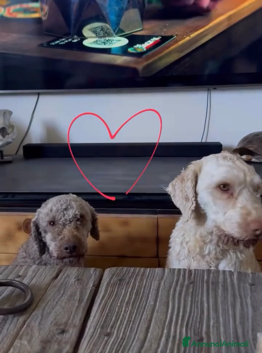 Immagine della galleria {{count}}