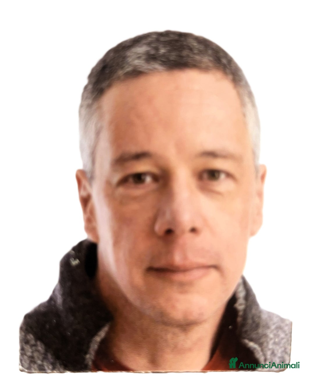 Immagine della galleria {{count}}