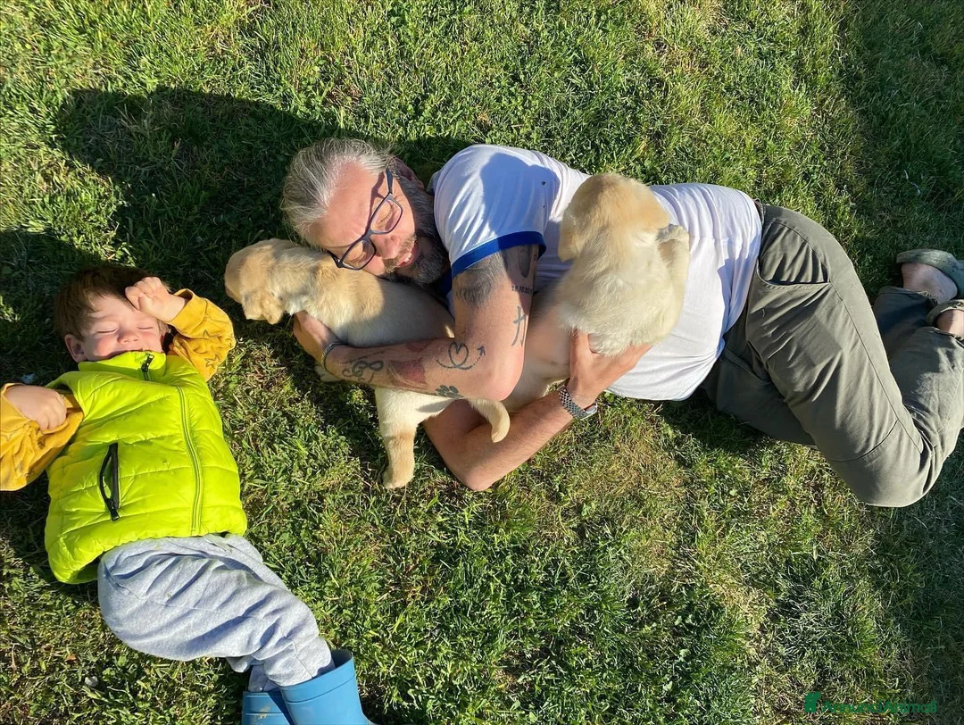 Immagine della galleria {{count}}