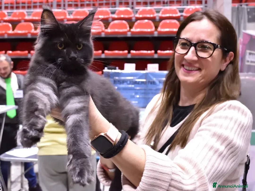 Immagine della galleria {{count}}