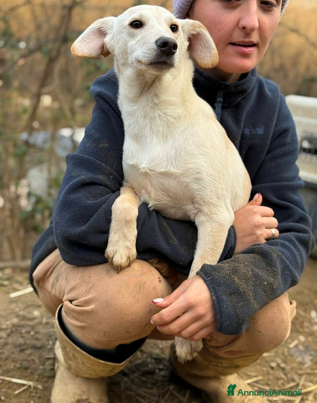 Meticcio cani in regalo: NERO, cucciolo dimenticato. Tg MEDIO PICCOLA - Annuncio 4