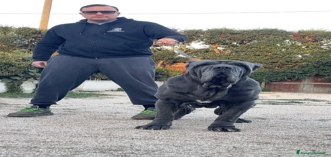 Immagine della galleria {{count}}