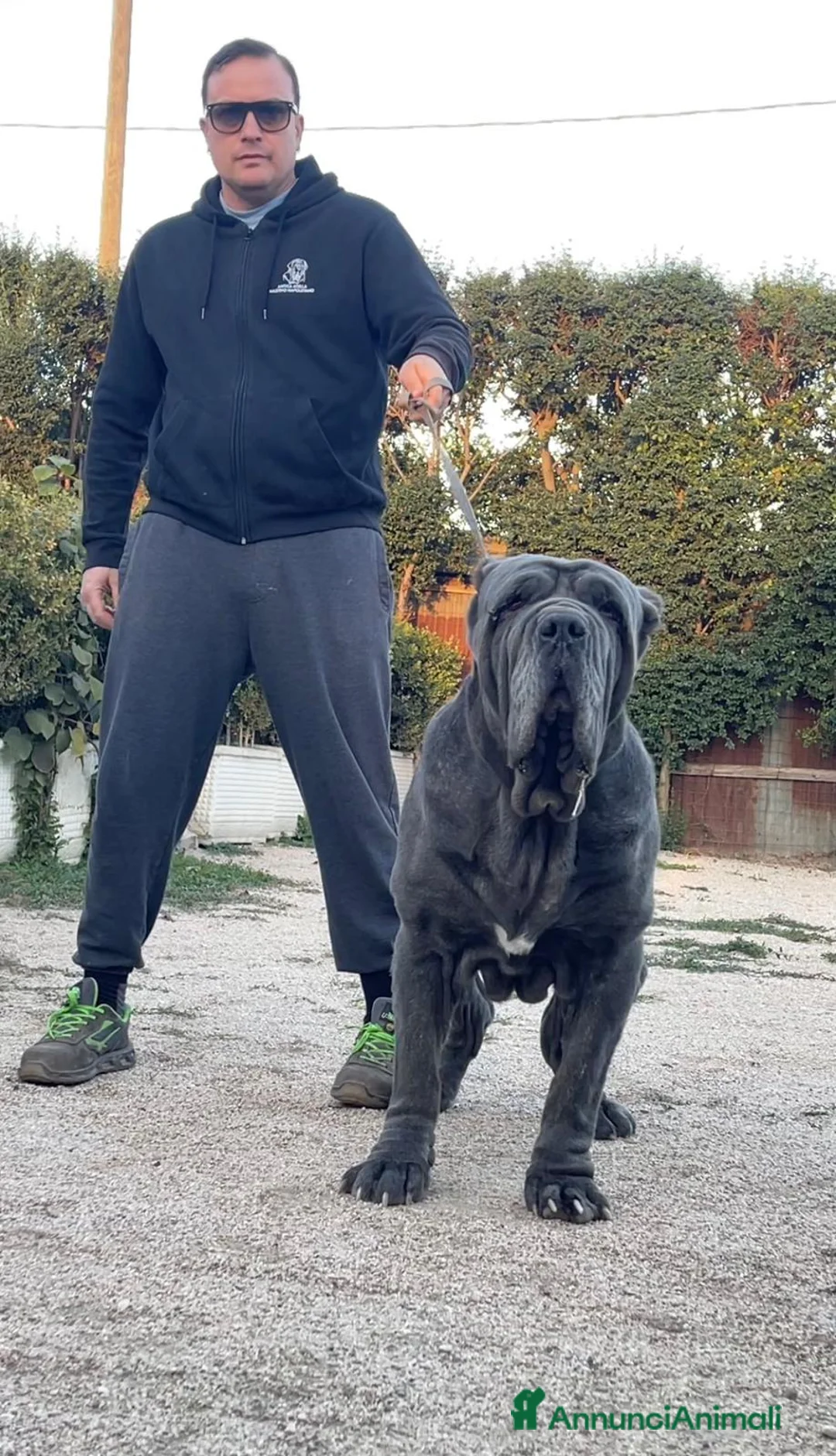 Immagine della galleria {{count}}