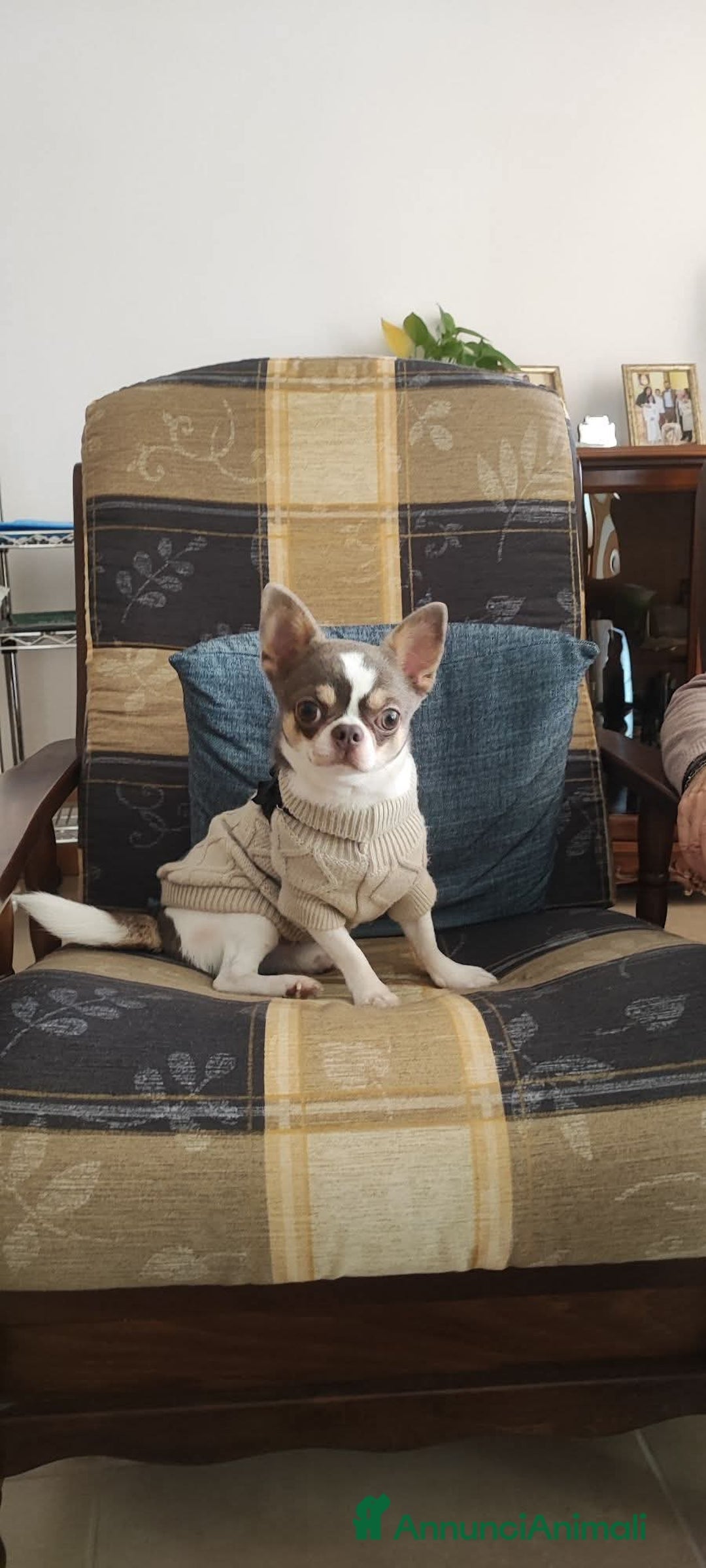 Immagine della galleria {{count}}